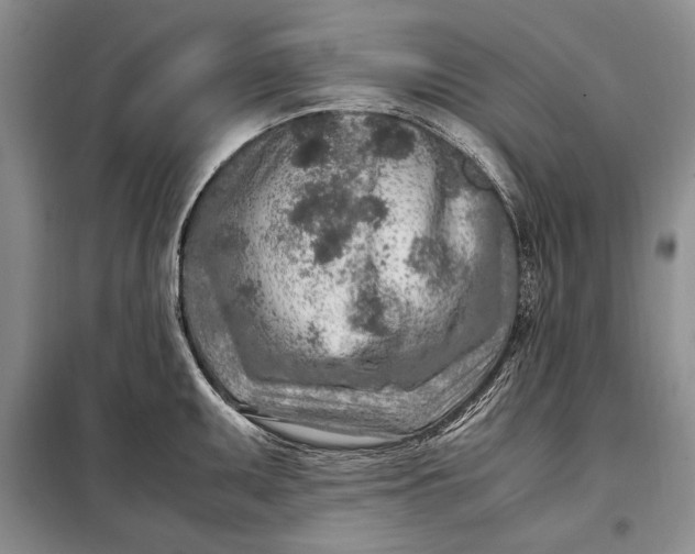 X0000098121095200804181513