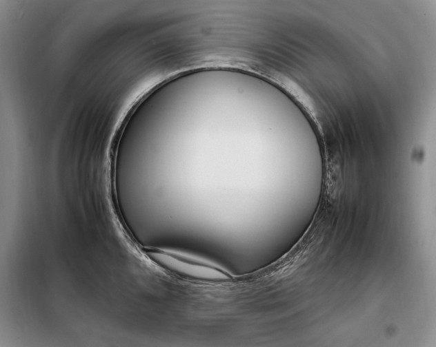 X0000098121096200804181513