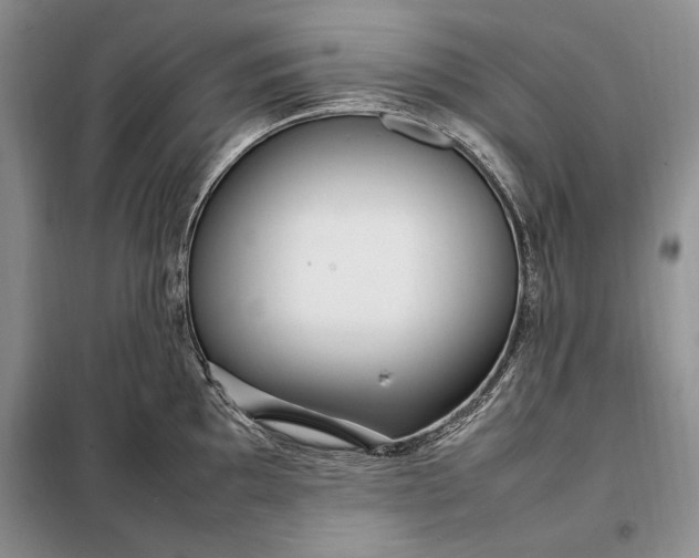 X0000098121097200804181513