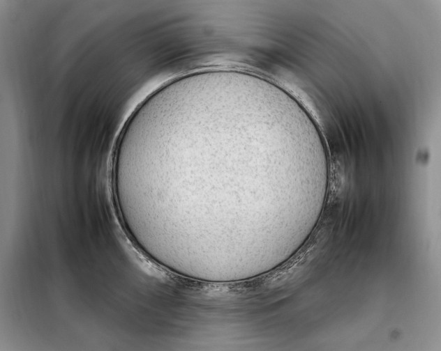 X0000098121098200804181513