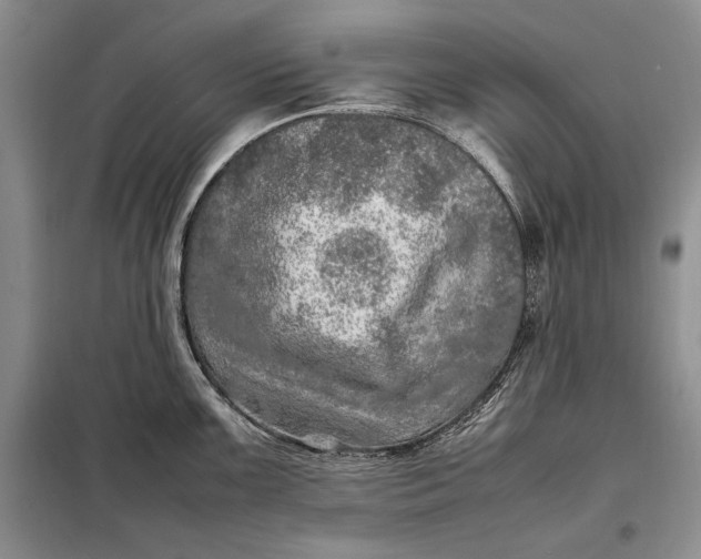 X0000098121099200804181513
