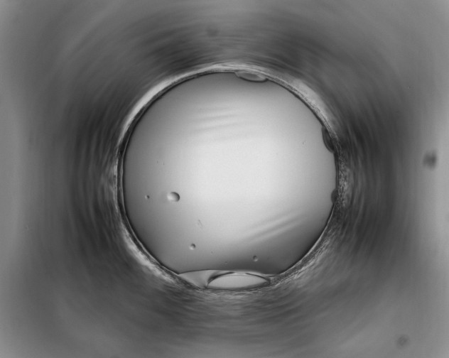 X0000098121100200804181513