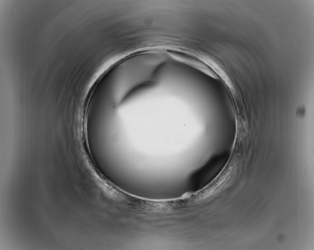 X0000098121101200804181513