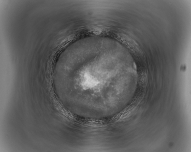 X0000098121105200804181512