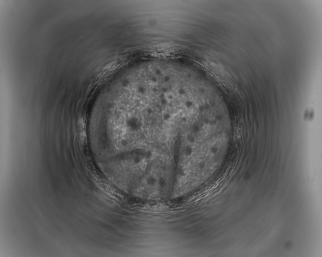 X0000098121106200804181512