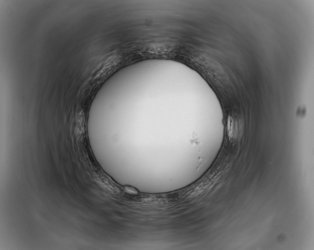 X0000098121107200804181512