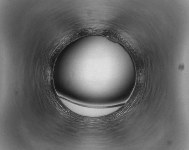 X0000098121108200804181512