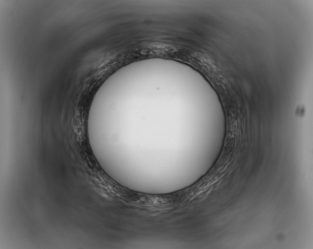 X0000098121109200804181512