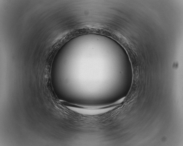 X0000098121110200804181512