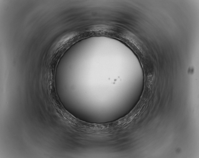X0000098121111200804181512