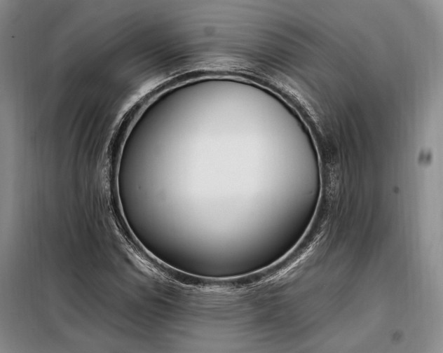 X0000098121114200804181512