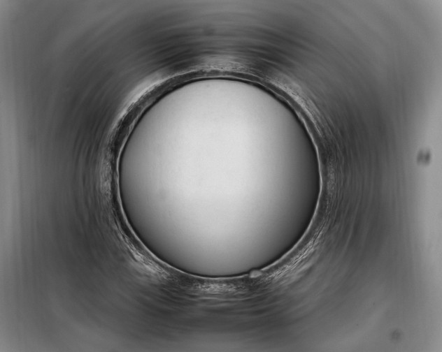 X0000098121115200804181512