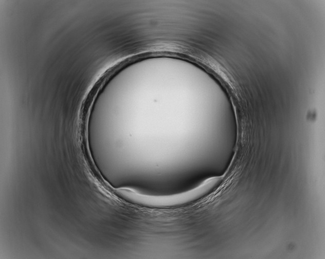 X0000098121116200804181512