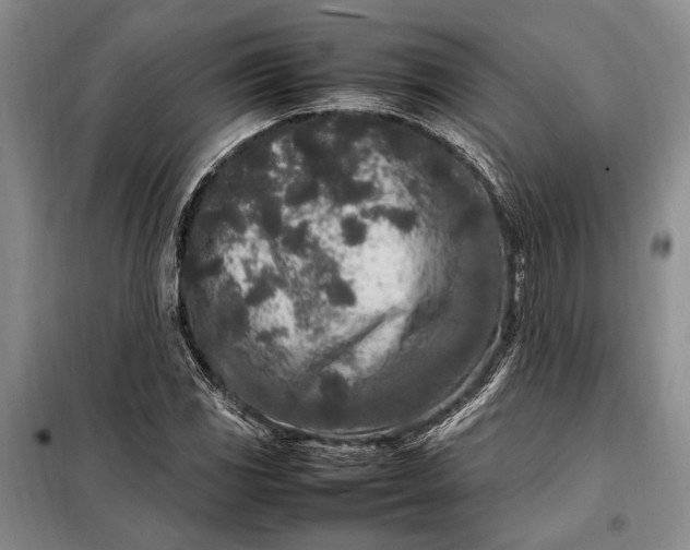 X0000098121117200804181512