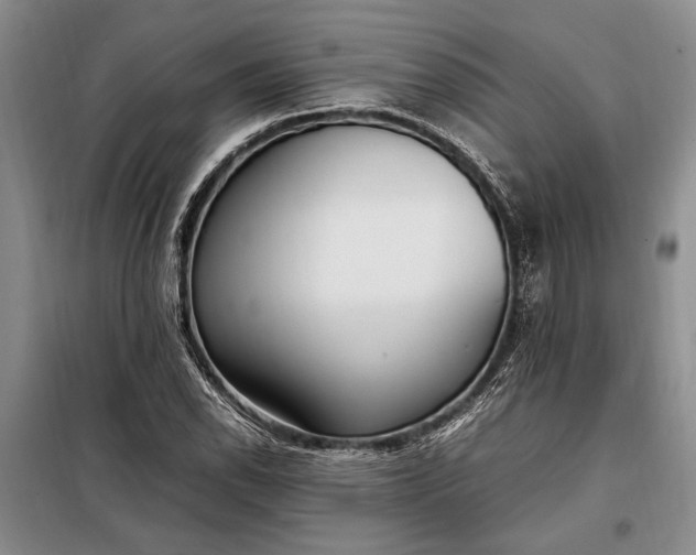 X0000098121118200804181513