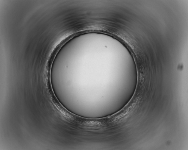 X0000098121119200804181513