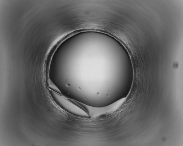 X0000098121120200804181513