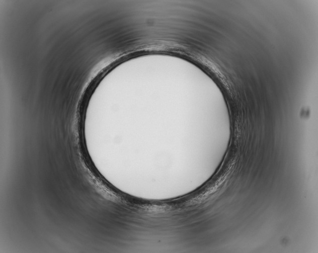 X0000098121122200804181513