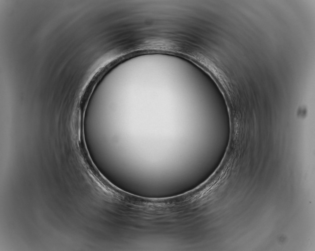 X0000098121123200804181513