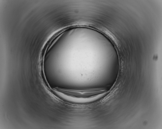 X0000098121124200804181513