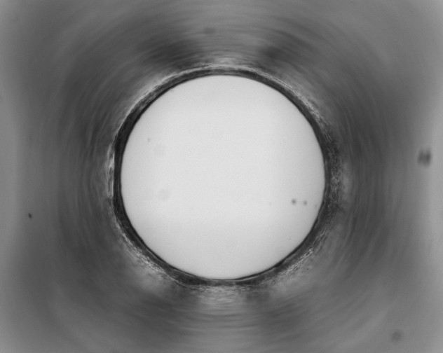 X0000098121126200804181513