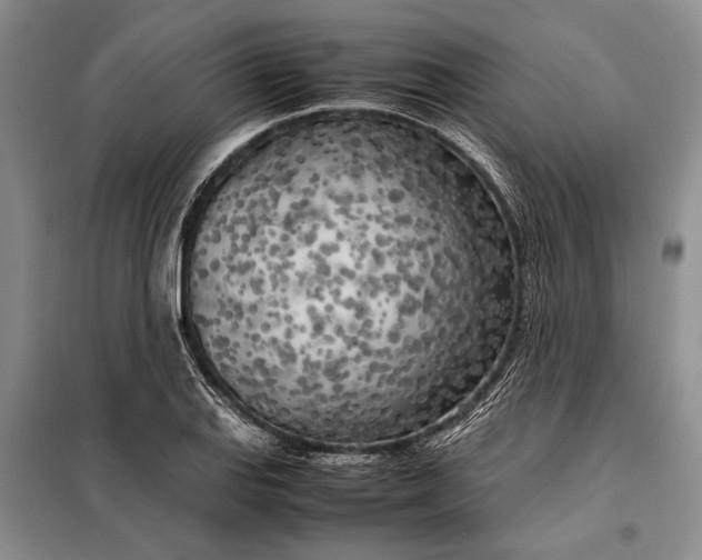 X0000098121127200804181513