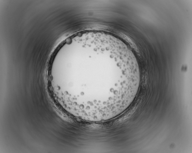 X0000098121130200804181513