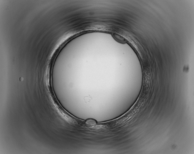X0000098121131200804181513