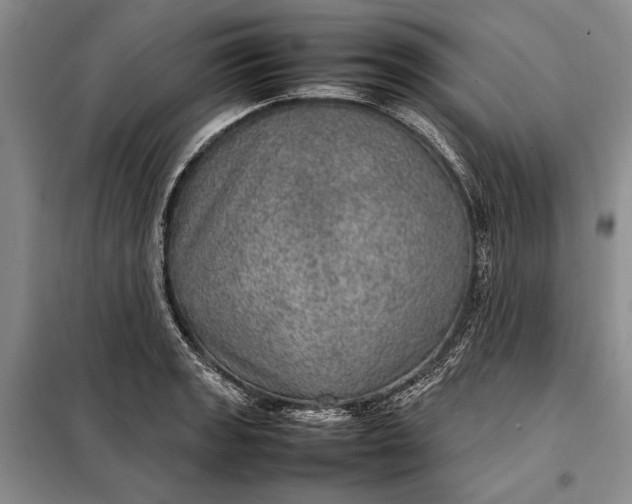 X0000098121133200804181513