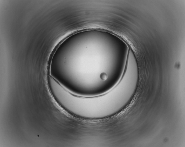 X0000098121134200804181513