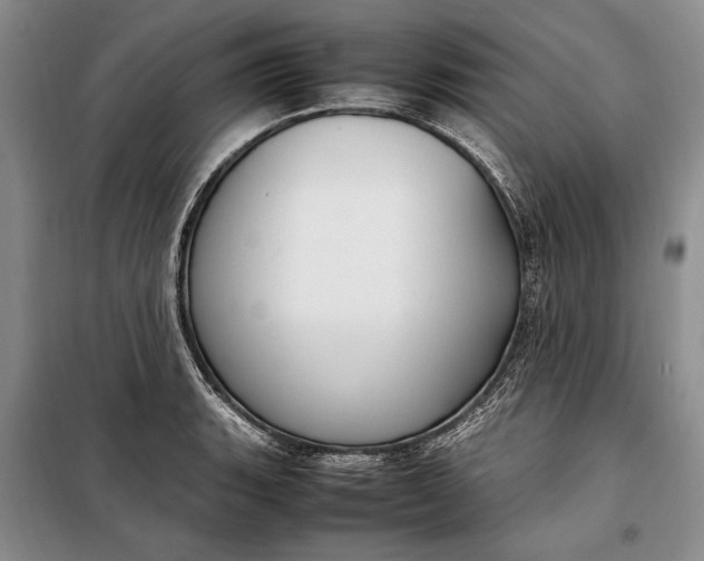 X0000098121135200804181513