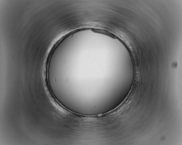 X0000098121136200804181513