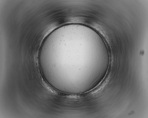 X0000098121137200804181513
