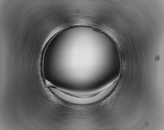 X0000098121138200804181513