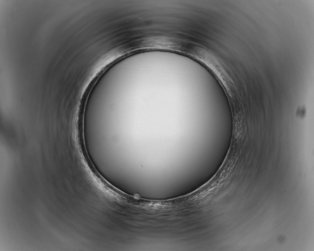 X0000098121139200804181513