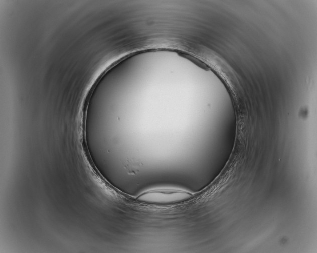 X0000098121140200804181513