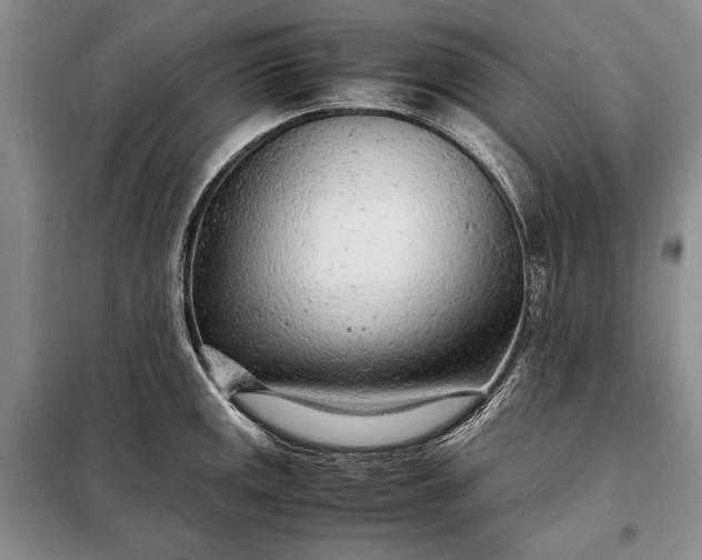 X0000098121141200804181513