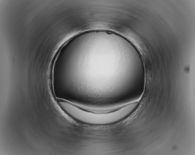 X0000098121142200804181513