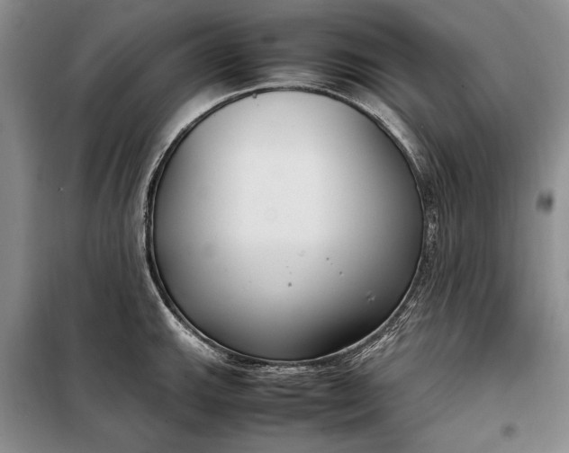 X0000098121143200804181513