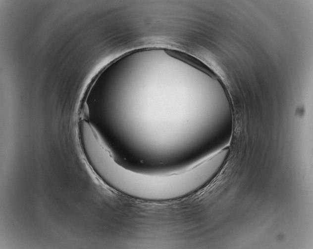 X0000098121144200804181513