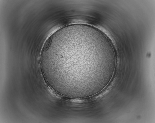 X0000098121145200804181513