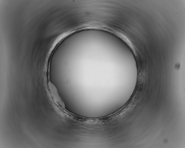 X0000098121146200804181513