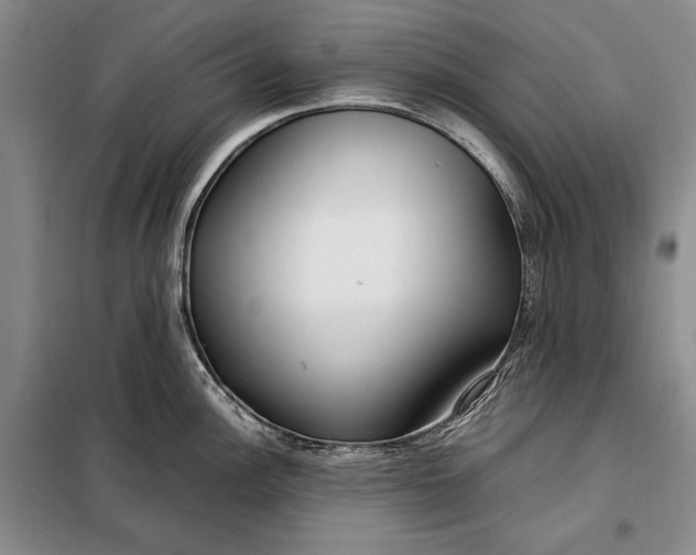 X0000098121148200804181513