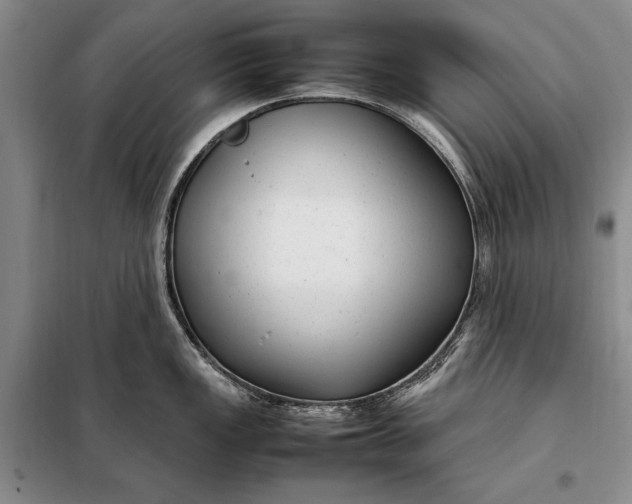 X0000098121149200804181513