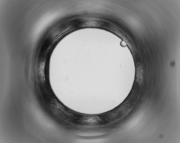 X0000098121150200804181513