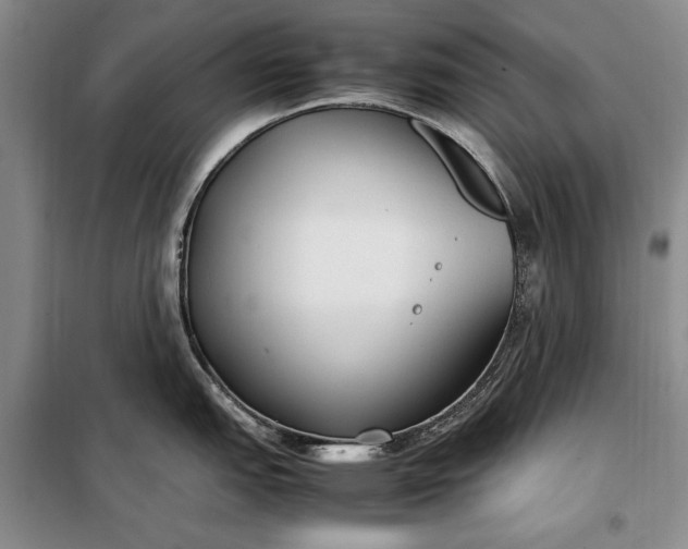 X0000098121151200804181513