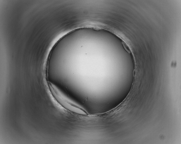 X0000098121152200804181513