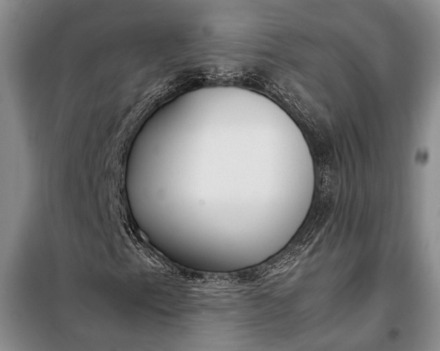 X0000098121153200804181512