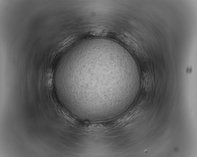 X0000098121154200804181512