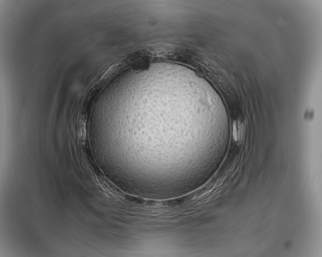 X0000098121155200804181512